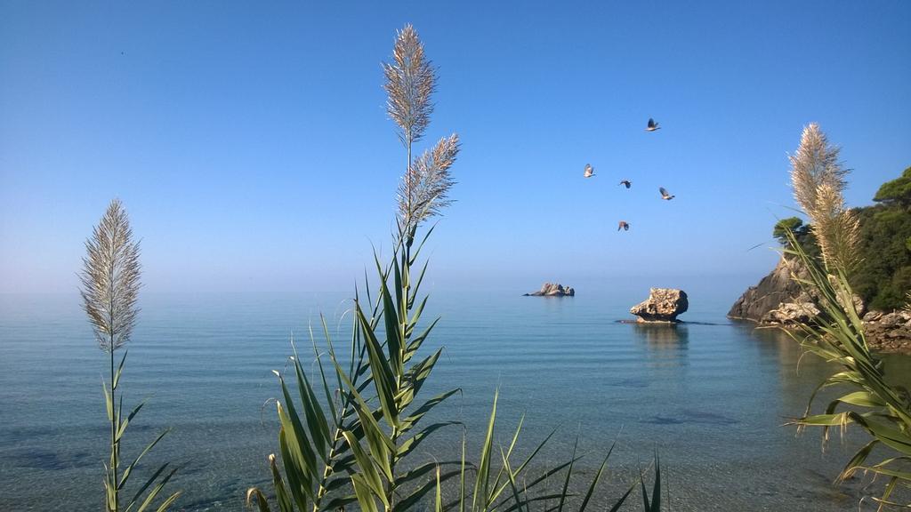 Yaliskari Beach Pelekas Zewnętrze zdjęcie